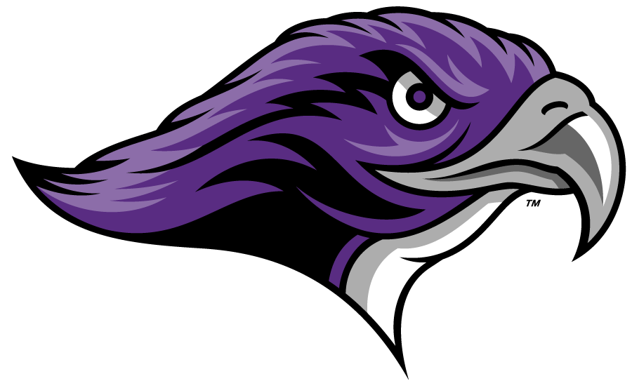 Stonehill Skyhawks 2012-Pres Secondary Logo diy DTF decal sticker